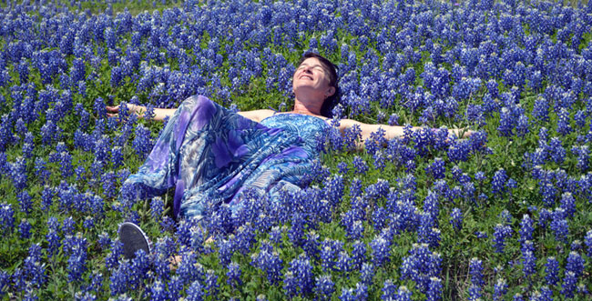 Texas Bluebonnets 